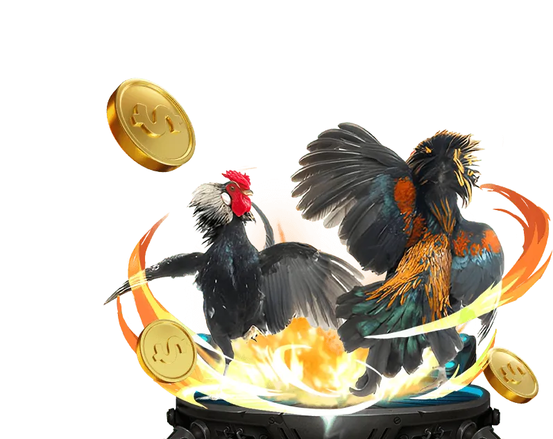 Thợ Săn Cá Mập tại MCW 678